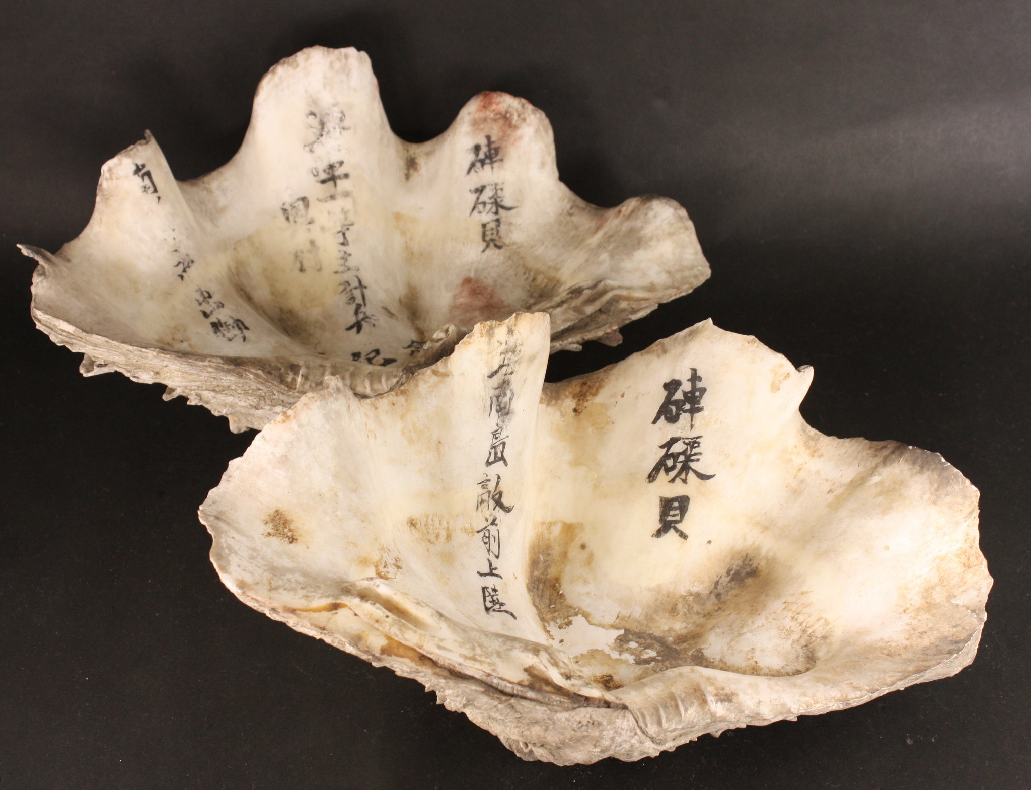 Highly Unusual Antique Japanese SNLF Hainan Island Campaign Landing Commemoration Shells